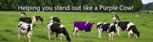 Purple Cow LI header image