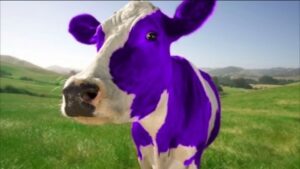 Purple Cow